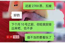 高阳贷款清欠服务